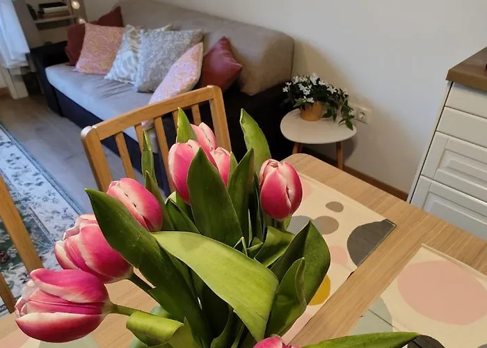 Lujza Apartman Budapest